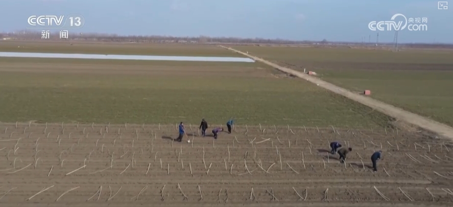 
江苏省中医院黄煌的号黄牛代挂号电话票贩子号贩子网上预约挂号,住院检查加快,育种插秧、翻耕稻田，生产忙！各地春耕沃野生机勃勃