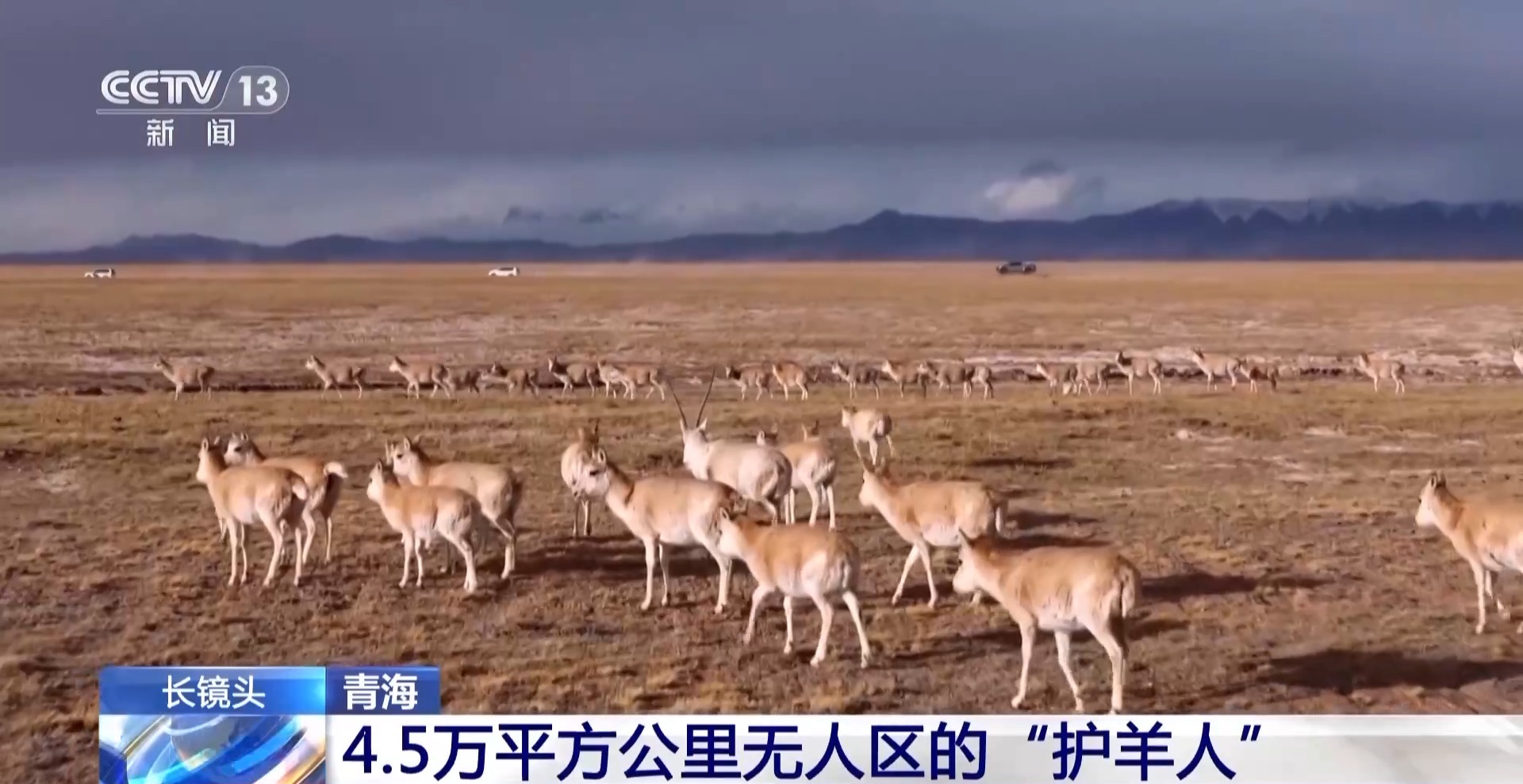 
天津眼科医院黄牛代挂号电话票贩子号贩子网上预约挂号,住院检查加快,在4.5万平方公里的土地上 他们守护着“高原精灵”