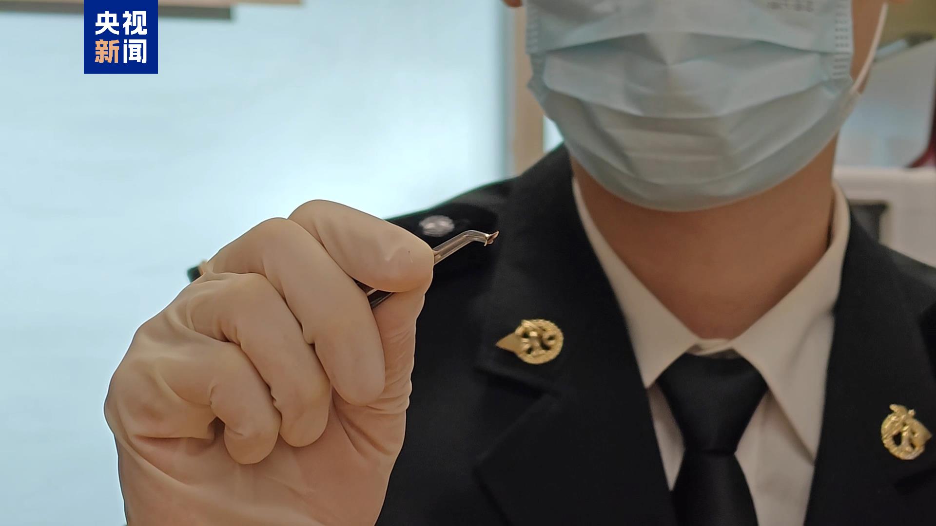 
中山大学中山眼科中心黄牛代挂号电话票贩子号贩子网上预约挂号,住院检查加快,警惕外来物种 上海海关截获假高粱和角海罂粟种子