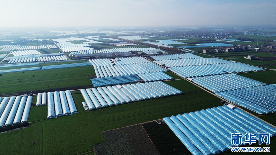 天津肿瘤医院黄牛代挂号电话票贩子号贩子网上预约挂号,住院检查加快,尝一口春鲜 草莓大棚藏着“致富妙方”