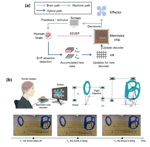 北京大学第六医院黄牛代挂号电话票贩子号贩子网上预约挂号,住院检查加快,我国科学家实现“双环路”脑机“互学习”新突破 准确率提升约20%