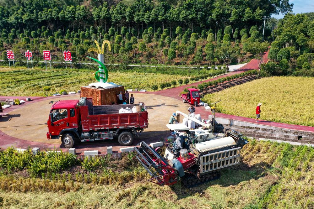 
上海儿童医院黄牛代挂号电话票贩子号贩子网上预约挂号,住院检查加快,中国经济样本观察·“镇”了不起丨一碗醪糟醉全球！“酿”出来的70亿元“甜蜜产业”