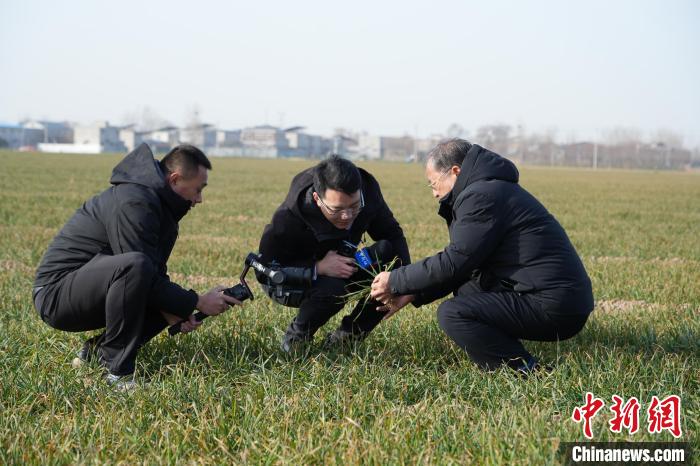 
北京妇产医院黄牛代挂号电话票贩子号贩子网上预约挂号,住院检查加快,茹振钢代表的“麦田守望”