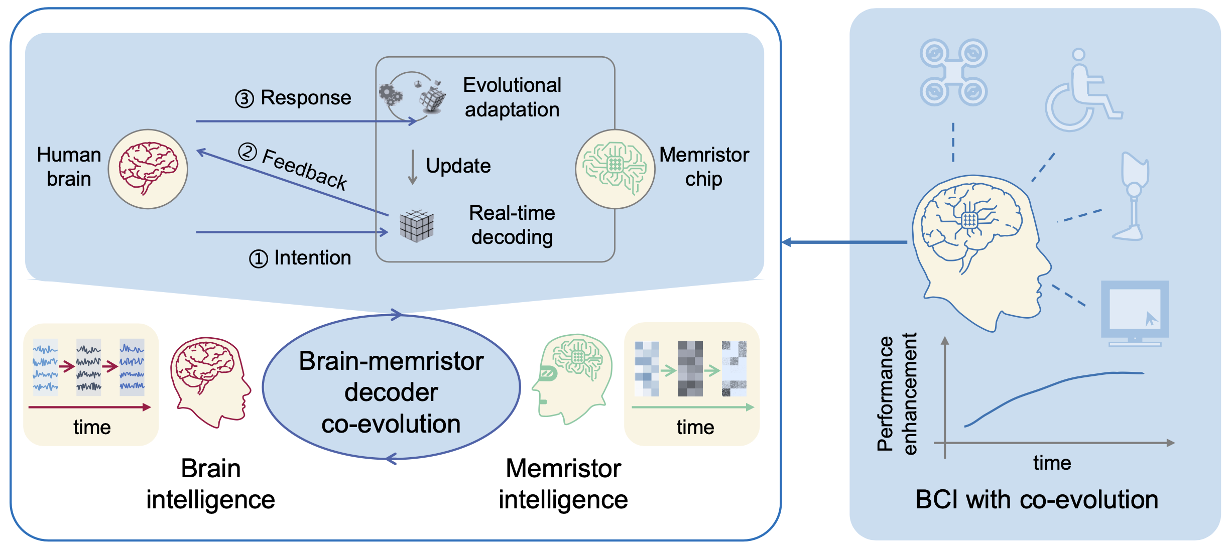 北京大学第六医院黄牛代挂号电话票贩子号贩子网上预约挂号,住院检查加快,我国科学家实现“双环路”脑机“互学习”新突破 准确率提升约20%