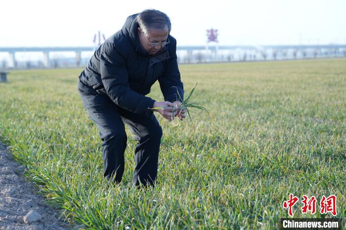 
北京妇产医院黄牛代挂号电话票贩子号贩子网上预约挂号,住院检查加快,茹振钢代表的“麦田守望”
