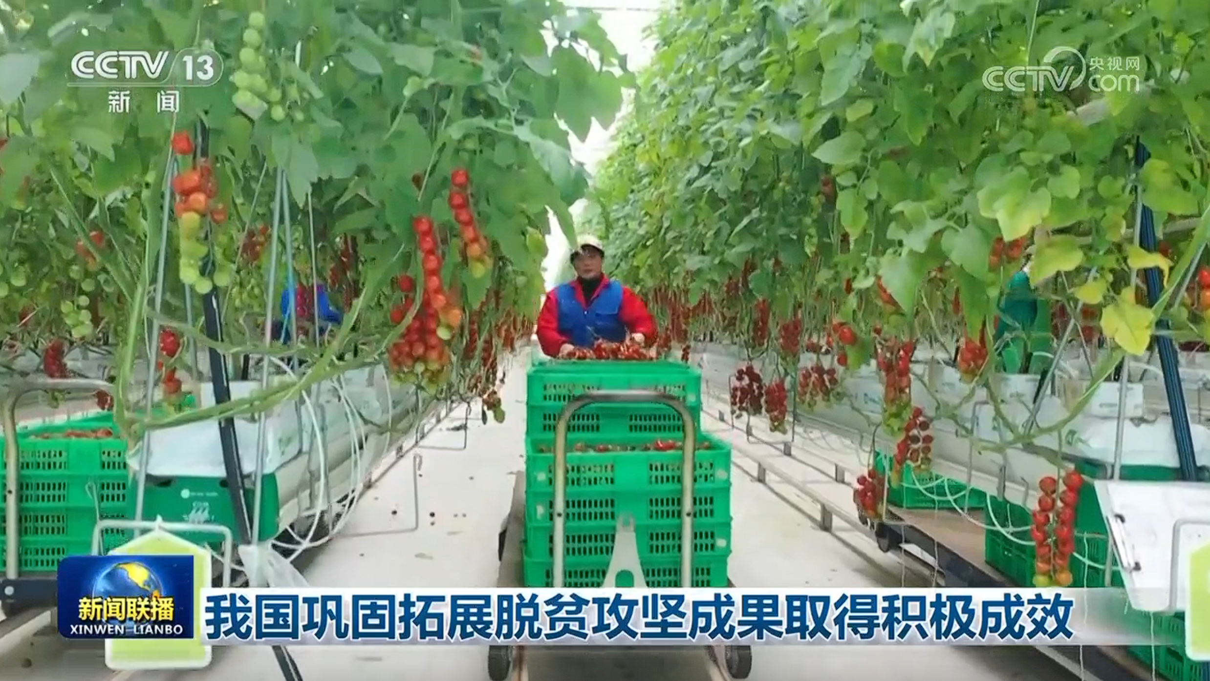 
北京西苑医院黄牛代挂号电话票贩子号贩子网上预约挂号,住院检查加快,我国巩固拓展脱贫攻坚成果取得积极成效