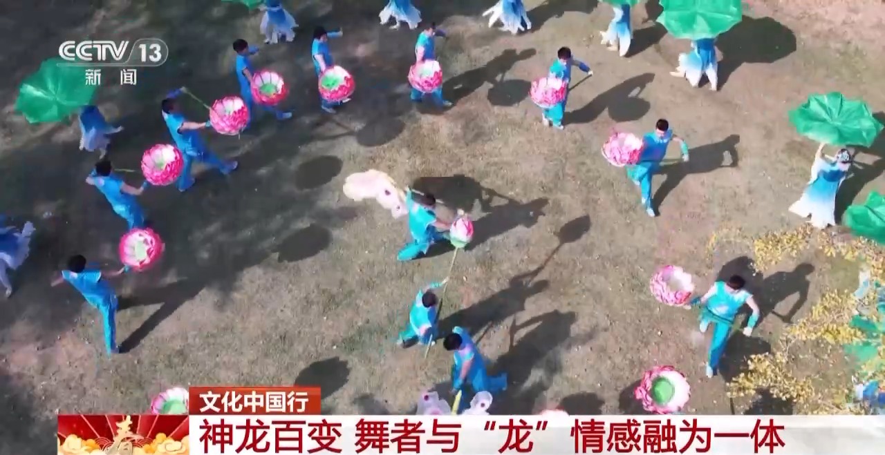 
上海各大医院黄牛代挂号电话票贩子号贩子网上预约挂号,住院检查加快,文化中国行丨火龙、板凳龙、百叶龙……来看不拘一格的龙舞之美