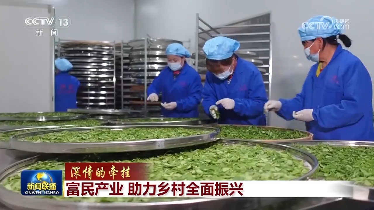 
首都医科大学附属北京妇产医院黄牛代挂号电话票贩子号贩子网上预约挂号,住院检查加快,【深情的牵挂】富民产业 助力乡村全面振兴