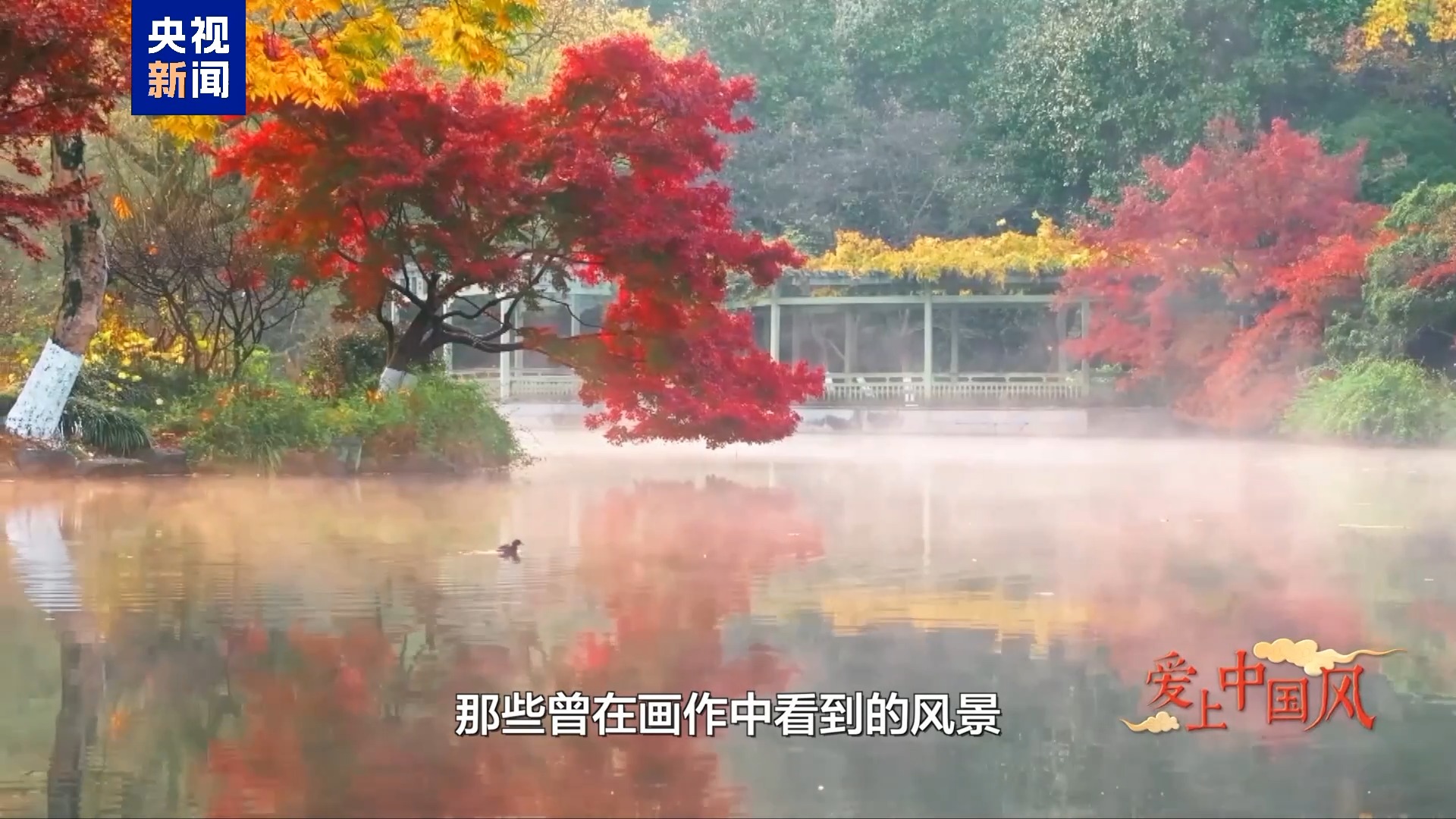 
西安西京医院黄牛代挂号电话票贩子号贩子网上预约挂号,住院检查加快,爱上中国风丨西班牙“丝与竹”乐团用琴弦连接中西