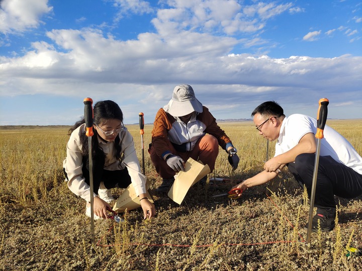 
北京世纪坛医院黄牛代挂号电话票贩子号贩子网上预约挂号,住院检查加快,报效祖国 建功西部丨搭乘基层服务“专列”，更多青年助力西部高质量发展