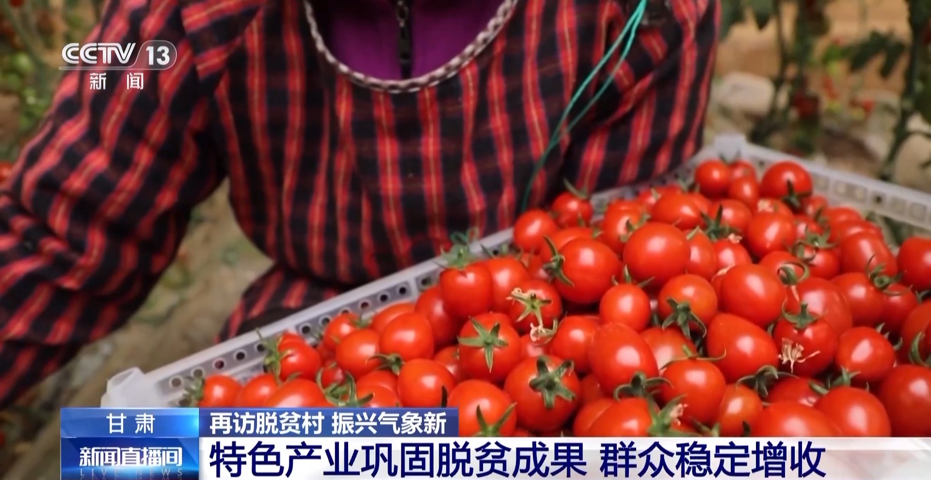 
北医三院黄牛代挂号电话票贩子号贩子网上预约挂号,住院检查加快,小番茄带来八倍收益 传统村落化身“手绘小镇”！看脱贫村的振兴路