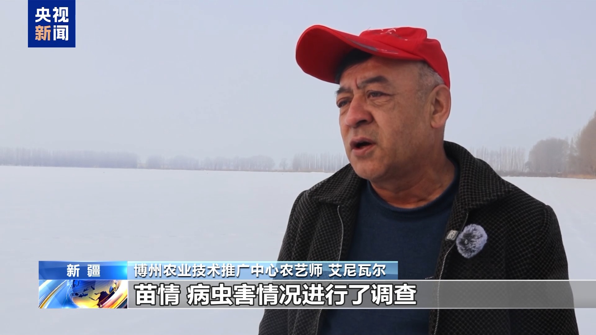 
北大医院黄牛代挂号电话票贩子号贩子网上预约挂号,住院检查加快,农技人员把“麦”问诊 “面对面+手把手”助力春耕