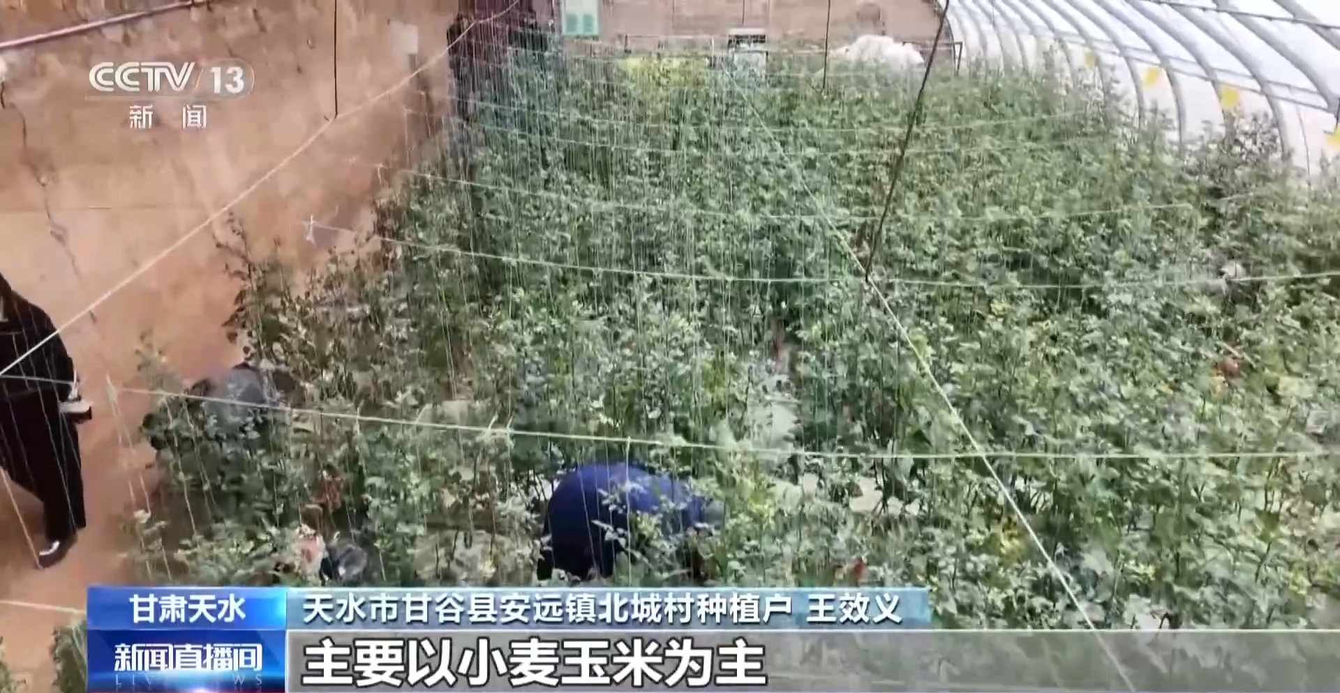 
北医三院黄牛代挂号电话票贩子号贩子网上预约挂号,住院检查加快,小番茄带来八倍收益 传统村落化身“手绘小镇”！看脱贫村的振兴路