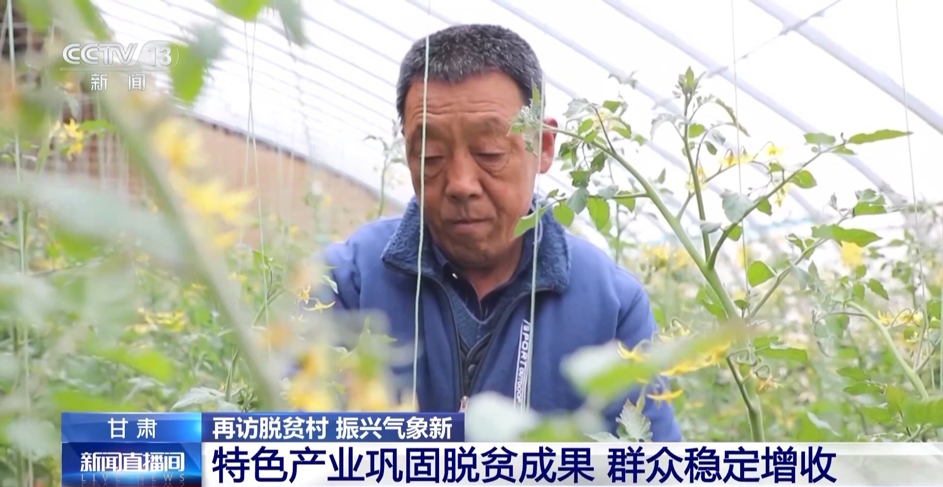 
北医三院黄牛代挂号电话票贩子号贩子网上预约挂号,住院检查加快,小番茄带来八倍收益 传统村落化身“手绘小镇”！看脱贫村的振兴路