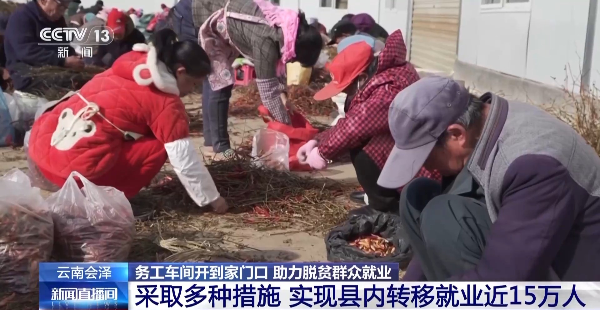 
南京儿童医院黄牛代挂号电话票贩子号贩子网上预约挂号,住院检查加快,小香菇做成大产业 务工车间开到家门口！来看脱贫村里新气象