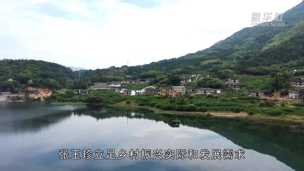 
上海龙华医院黄牛代挂号电话票贩子号贩子网上预约挂号,住院检查加快,代表委员履职故事｜全国人大代表张玉珍：让绿水青山“底色”更亮