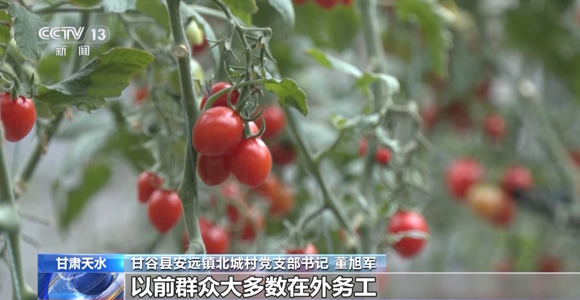 
北医三院黄牛代挂号电话票贩子号贩子网上预约挂号,住院检查加快,小番茄带来八倍收益 传统村落化身“手绘小镇”！看脱贫村的振兴路