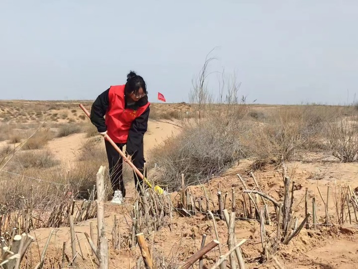 
北京世纪坛医院黄牛代挂号电话票贩子号贩子网上预约挂号,住院检查加快,报效祖国 建功西部丨搭乘基层服务“专列”，更多青年助力西部高质量发展