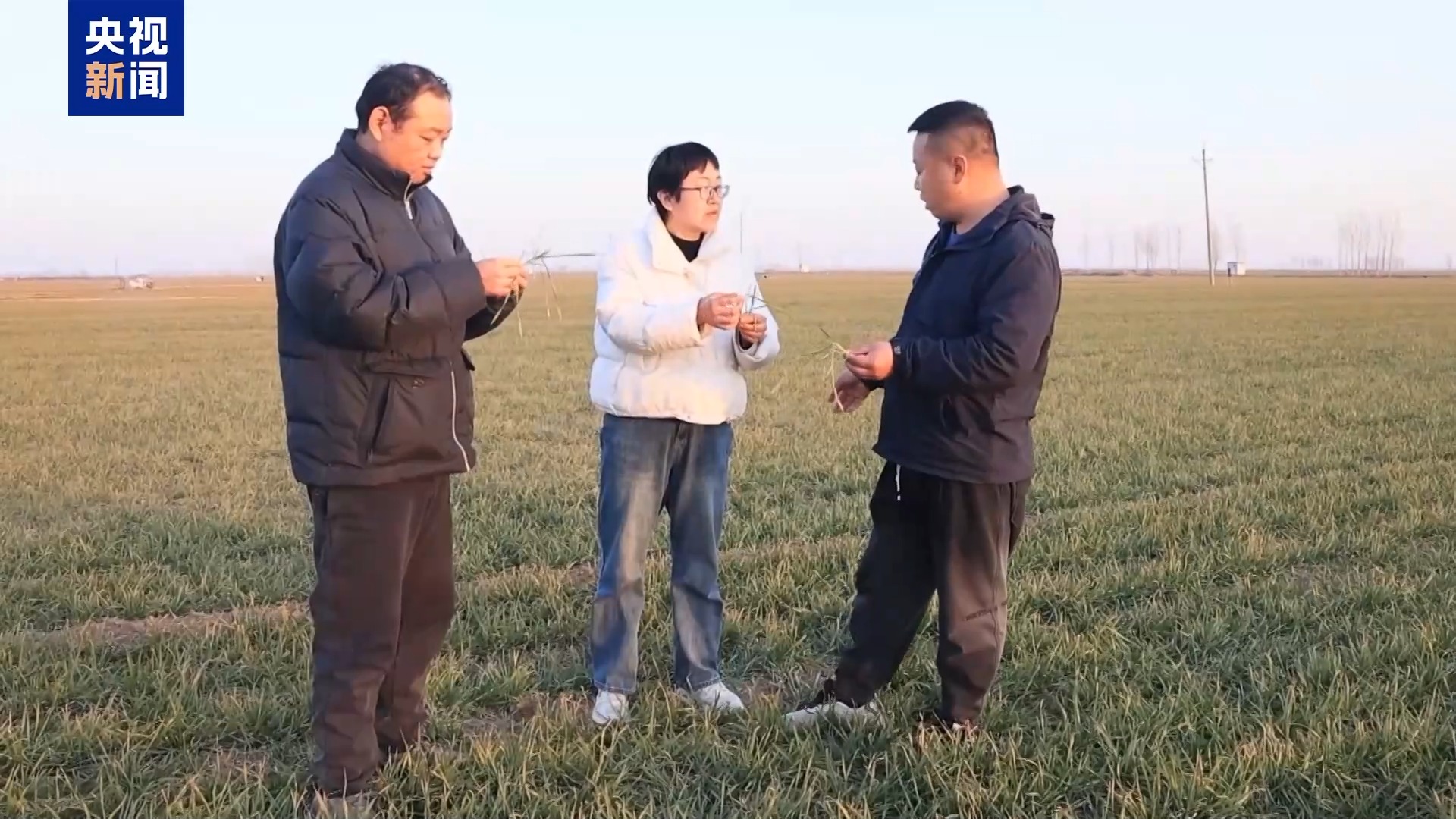 
北大医院黄牛代挂号电话票贩子号贩子网上预约挂号,住院检查加快,农技人员把“麦”问诊 “面对面+手把手”助力春耕