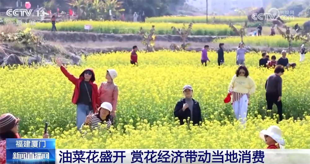 江苏省中医院黄牛代挂号电话票贩子号贩子网上预约挂号,住院检查加快,“赏花经济”带动文旅市场春潮涌动 为城乡消费注入蓬勃动能