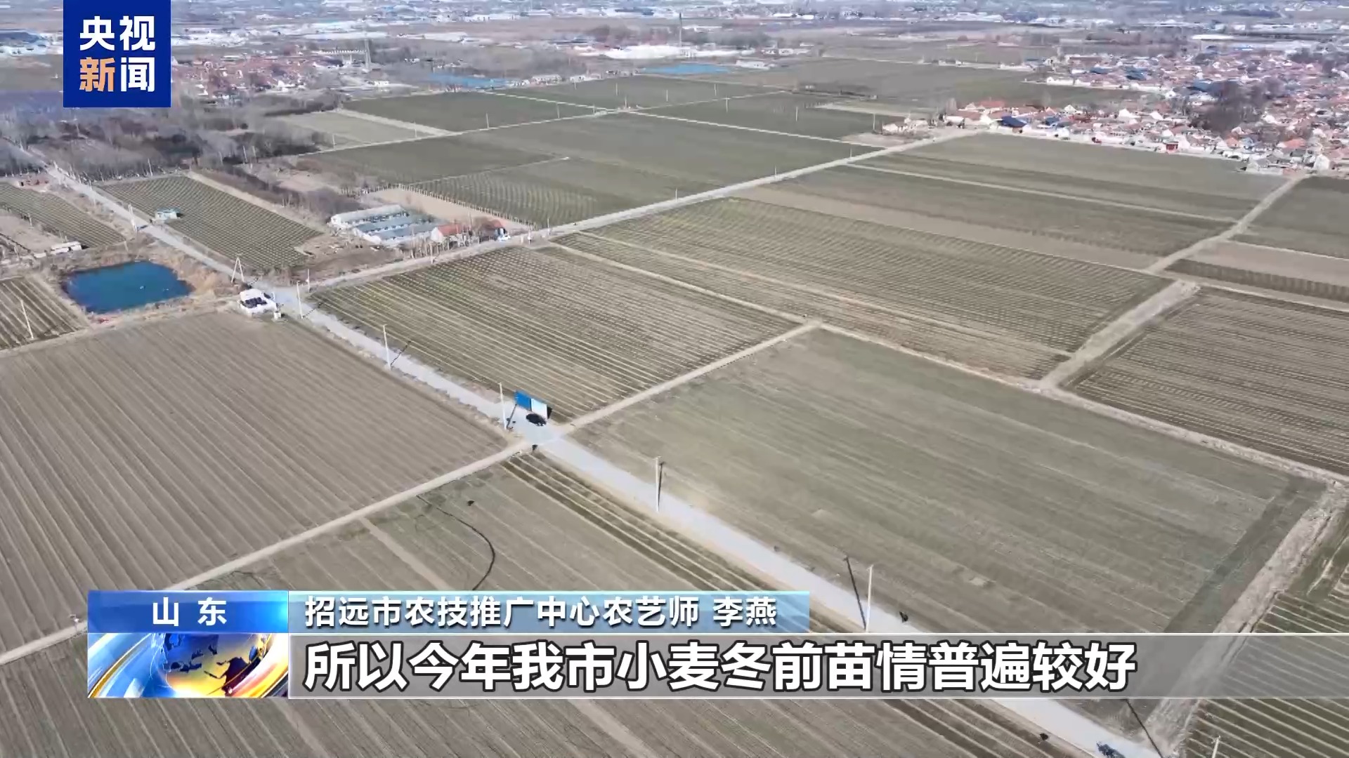 
北大医院黄牛代挂号电话票贩子号贩子网上预约挂号,住院检查加快,农技人员把“麦”问诊 “面对面+手把手”助力春耕