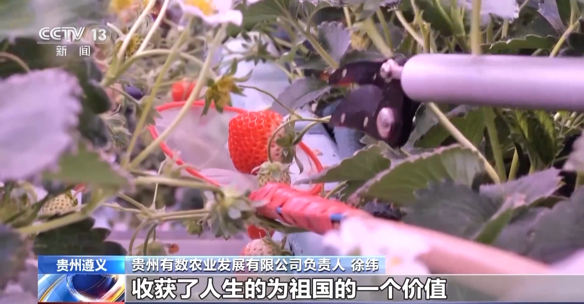 
上海肿瘤医院黄牛代挂号电话票贩子号贩子网上预约挂号,住院检查加快,报效祖国 建功西部丨娄山关下新农人 “植物工厂”开创新赛道