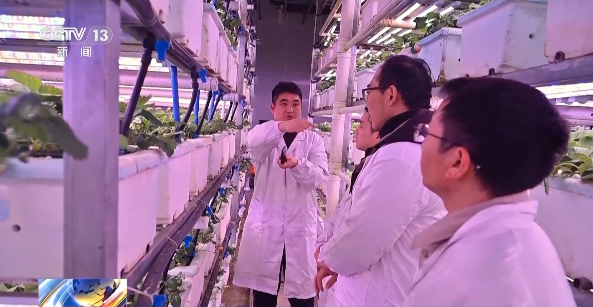 
上海肿瘤医院黄牛代挂号电话票贩子号贩子网上预约挂号,住院检查加快,报效祖国 建功西部丨娄山关下新农人 “植物工厂”开创新赛道