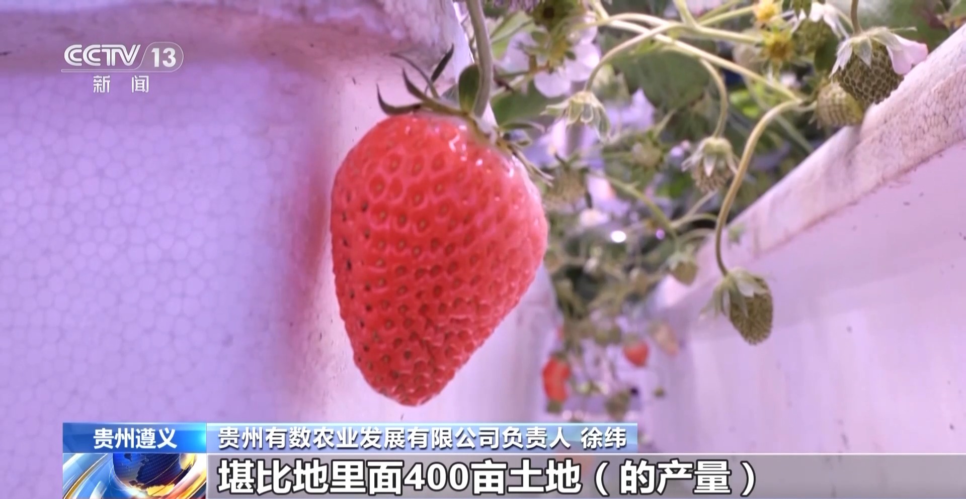 
上海肿瘤医院黄牛代挂号电话票贩子号贩子网上预约挂号,住院检查加快,报效祖国 建功西部丨娄山关下新农人 “植物工厂”开创新赛道