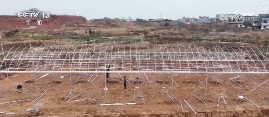 北京协和医院黄牛代挂号电话票贩子号贩子网上预约挂号,住院检查加快,春管向“新”而行 一幅幅“科技春耕图”在广袤田野徐徐展开