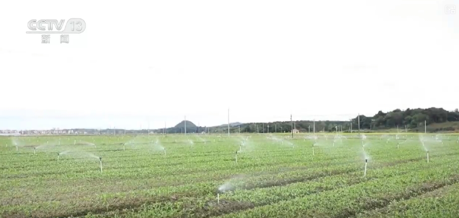 北京协和医院黄牛代挂号电话票贩子号贩子网上预约挂号,住院检查加快,春管向“新”而行 一幅幅“科技春耕图”在广袤田野徐徐展开