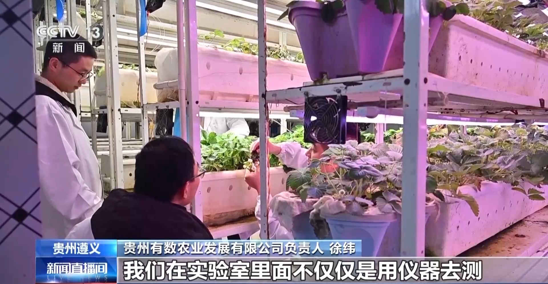 
上海肿瘤医院黄牛代挂号电话票贩子号贩子网上预约挂号,住院检查加快,报效祖国 建功西部丨娄山关下新农人 “植物工厂”开创新赛道