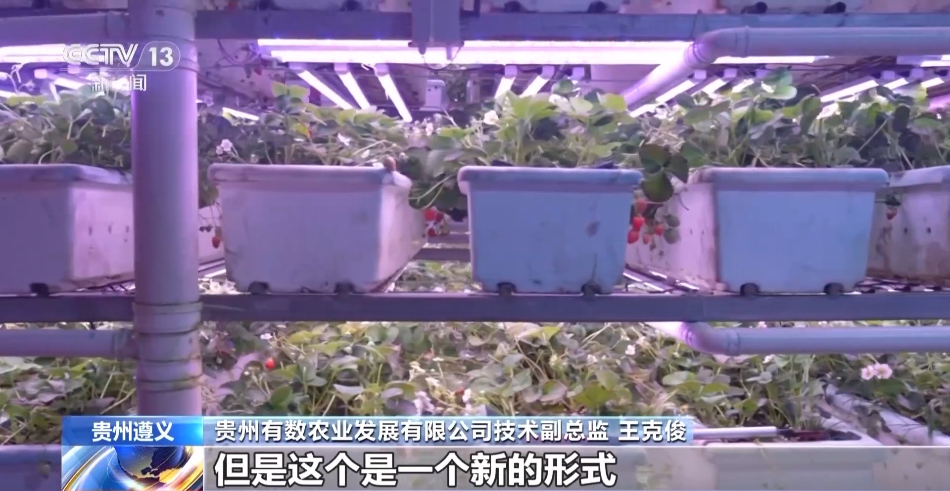 
上海肿瘤医院黄牛代挂号电话票贩子号贩子网上预约挂号,住院检查加快,报效祖国 建功西部丨娄山关下新农人 “植物工厂”开创新赛道