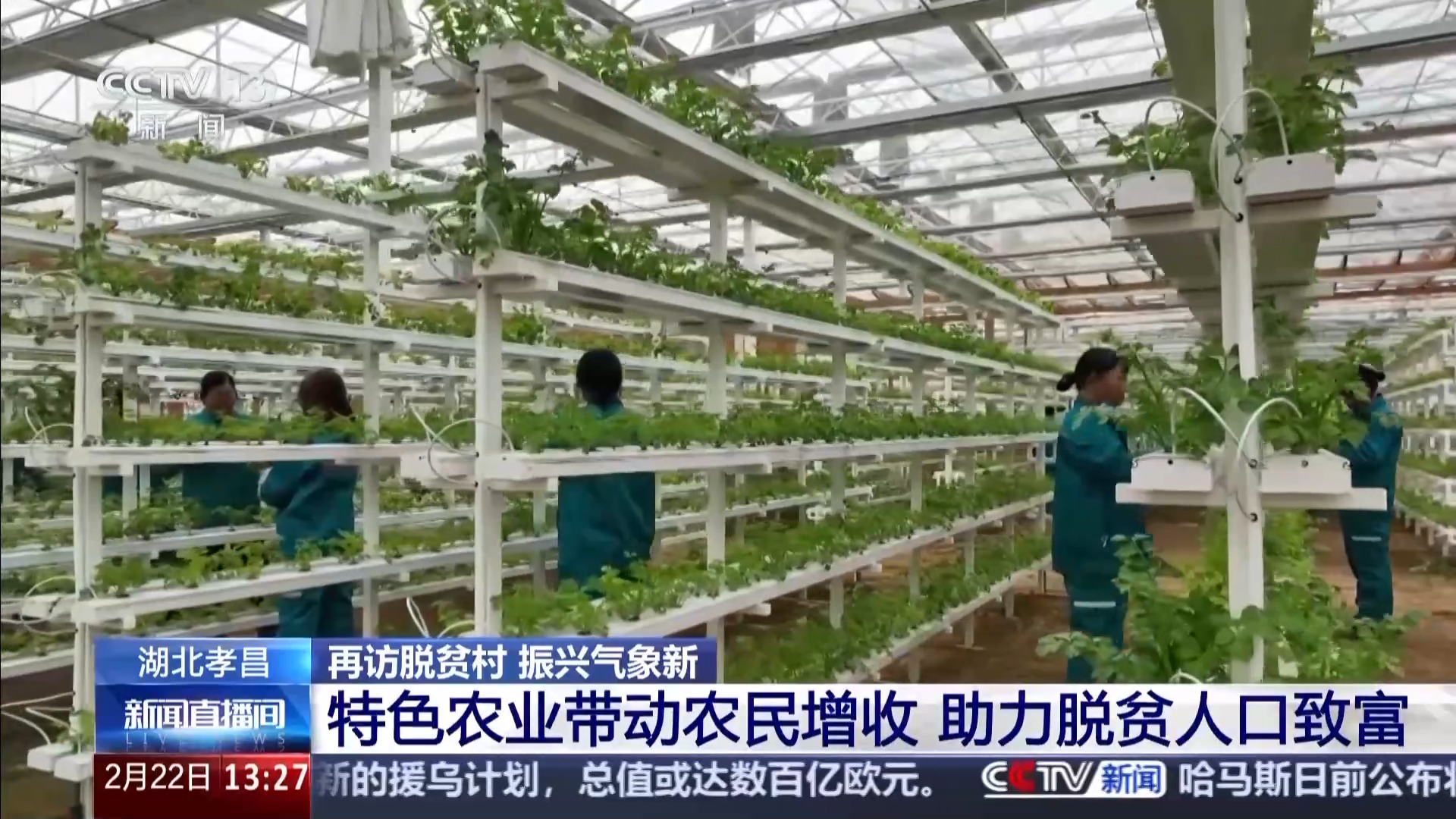 
首都医科院整形外科医院黄牛代挂号电话票贩子号贩子网上预约挂号,住院检查加快,再访脱贫村 振兴气象新丨一拿一放完成种菜 江河村的大棚有多智能？