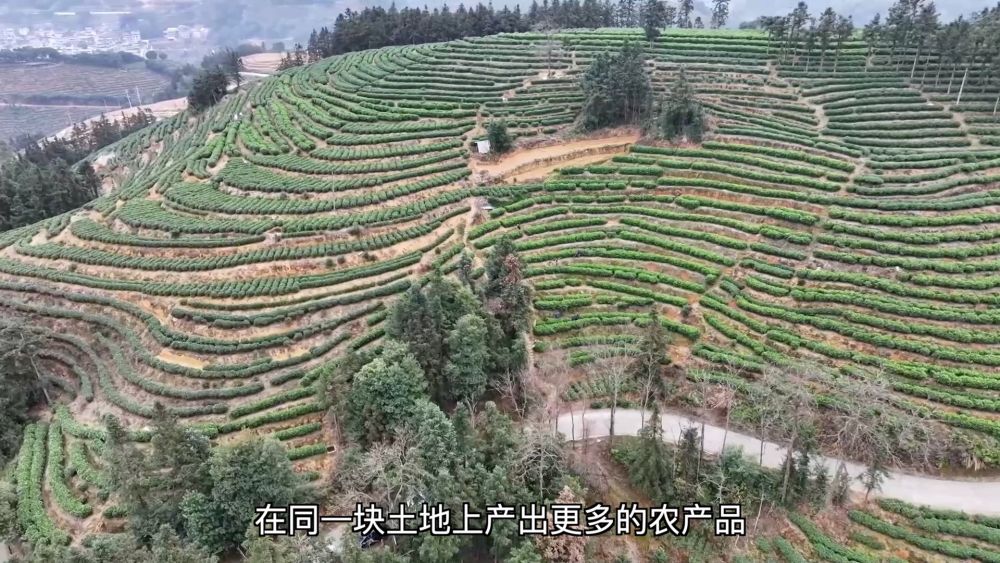 
北京301医院黄牛代挂号电话票贩子号贩子网上预约挂号,住院检查加快,新华视点｜产业“破题” 绘就振兴“答卷”