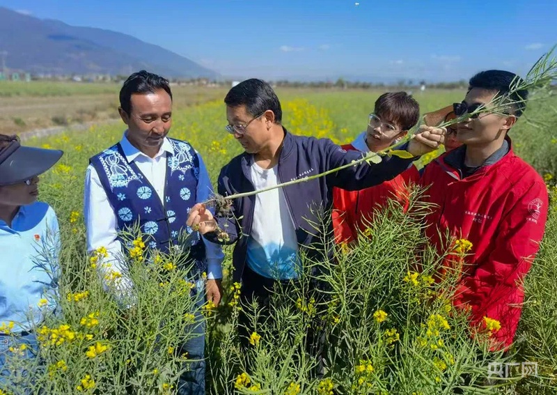 
北京宣武医院黄牛代挂号电话票贩子号贩子网上预约挂号,住院检查加快,【牢记嘱托·看见美好中国】守护洱海清波，让美景永驻人间