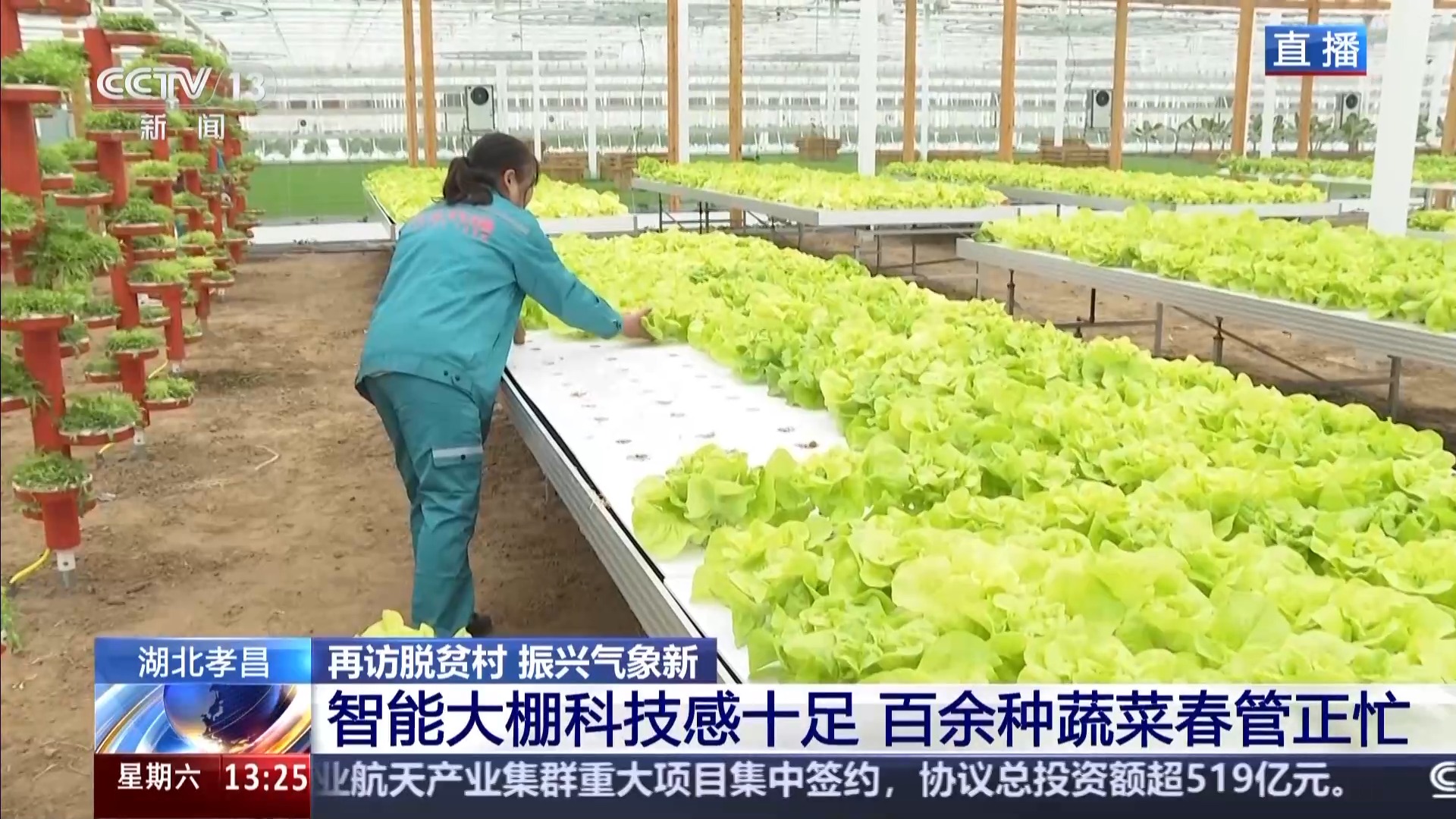 
首都医科院整形外科医院黄牛代挂号电话票贩子号贩子网上预约挂号,住院检查加快,再访脱贫村 振兴气象新丨一拿一放完成种菜 江河村的大棚有多智能？