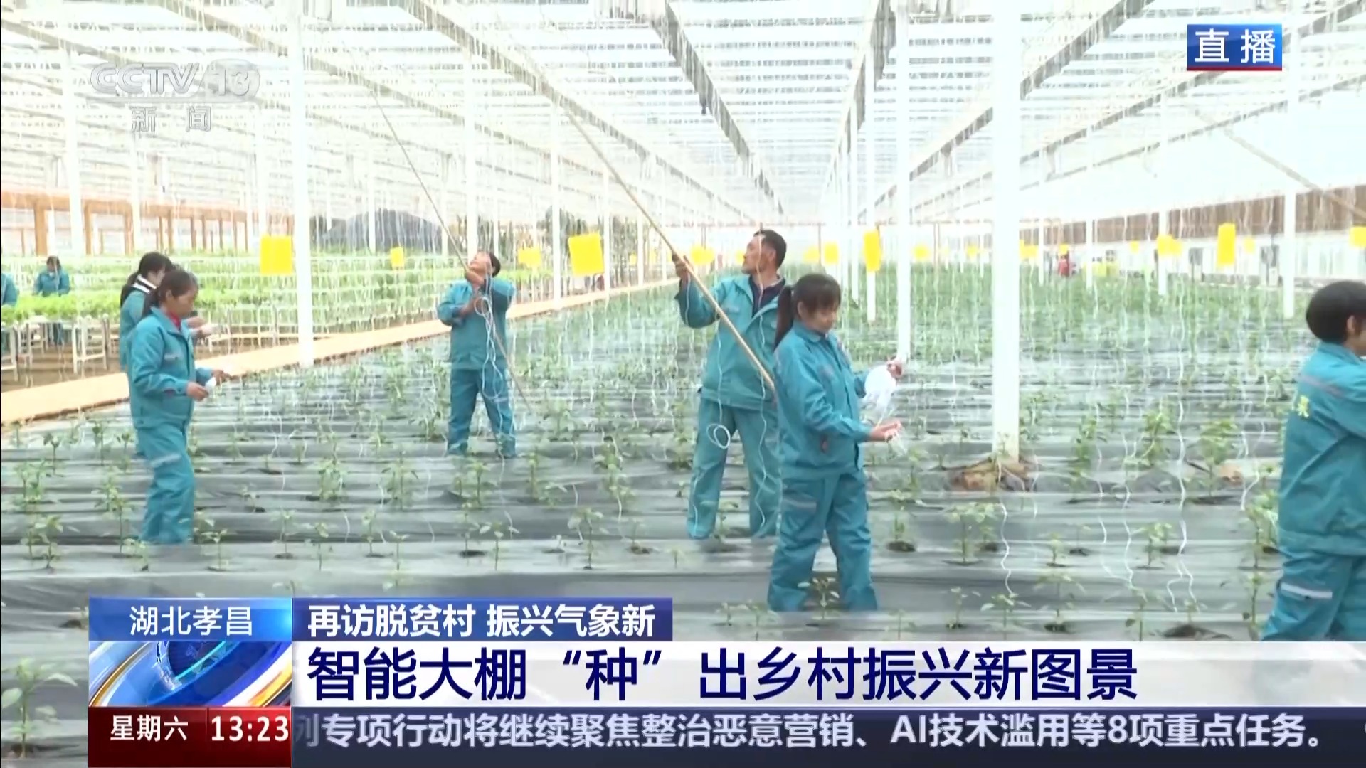 
首都医科院整形外科医院黄牛代挂号电话票贩子号贩子网上预约挂号,住院检查加快,再访脱贫村 振兴气象新丨一拿一放完成种菜 江河村的大棚有多智能？