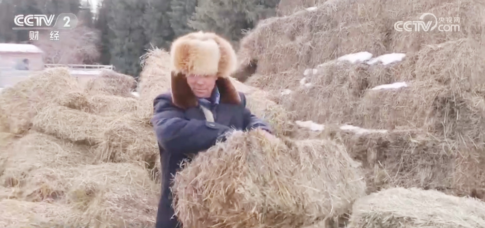 
北京朝阳医院黄牛代挂号电话票贩子号贩子网上预约挂号,住院检查加快,新疆伊犁11.7万只牲畜开启春季转场 “服务站+服务队”为牧民保驾护航