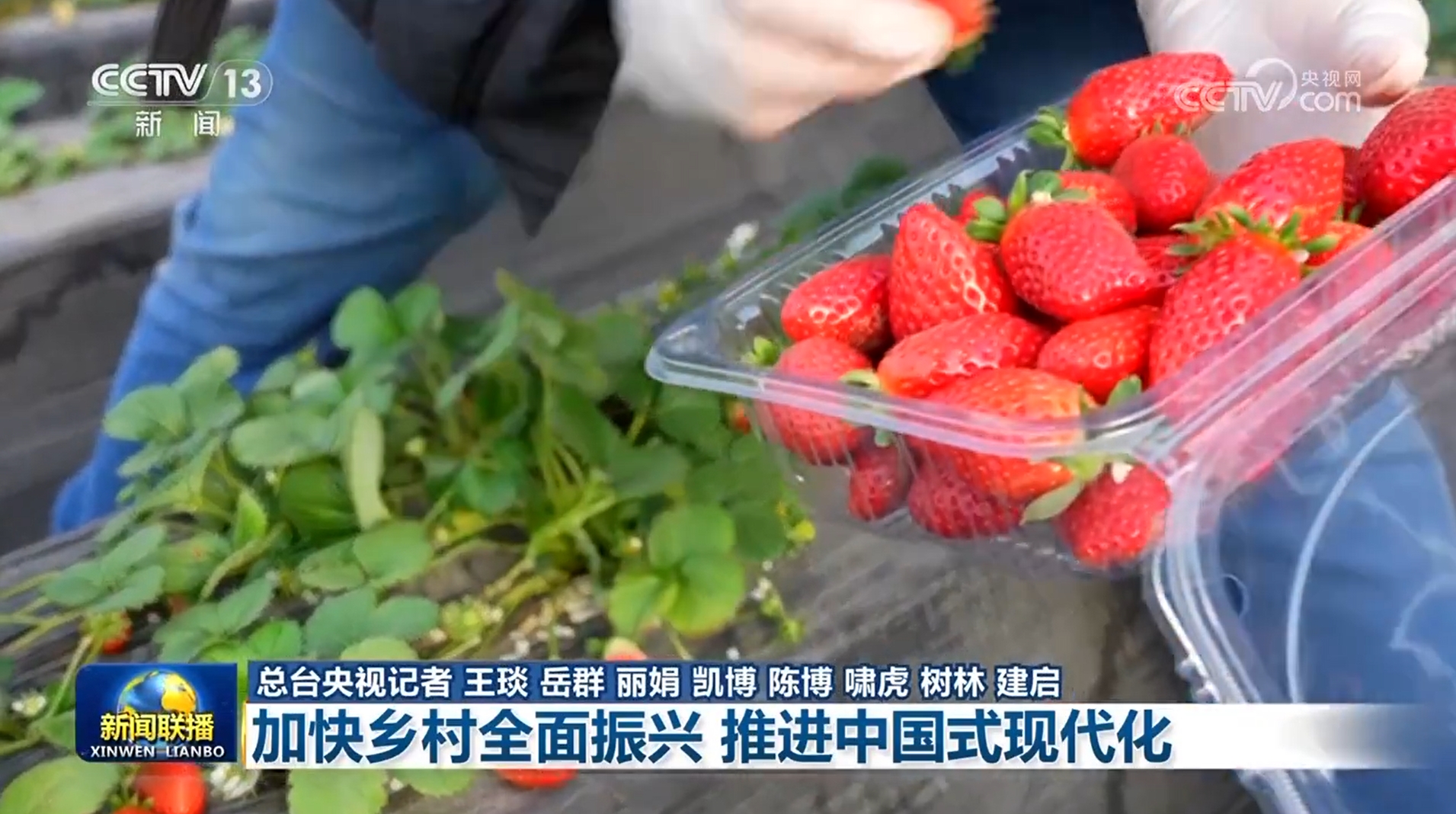 
浙江省同德医院黄牛代挂号电话票贩子号贩子网上预约挂号,住院检查加快,【新思想引领新征程】加快乡村全面振兴 推进中国式现代化