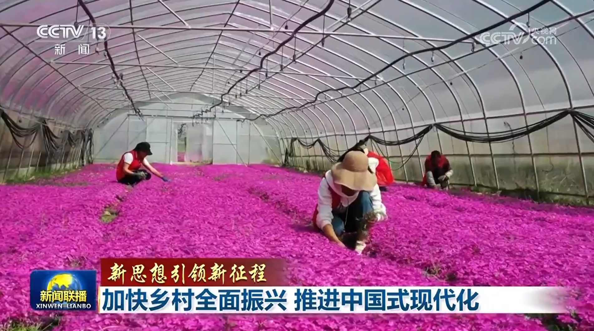 
浙江省同德医院黄牛代挂号电话票贩子号贩子网上预约挂号,住院检查加快,【新思想引领新征程】加快乡村全面振兴 推进中国式现代化