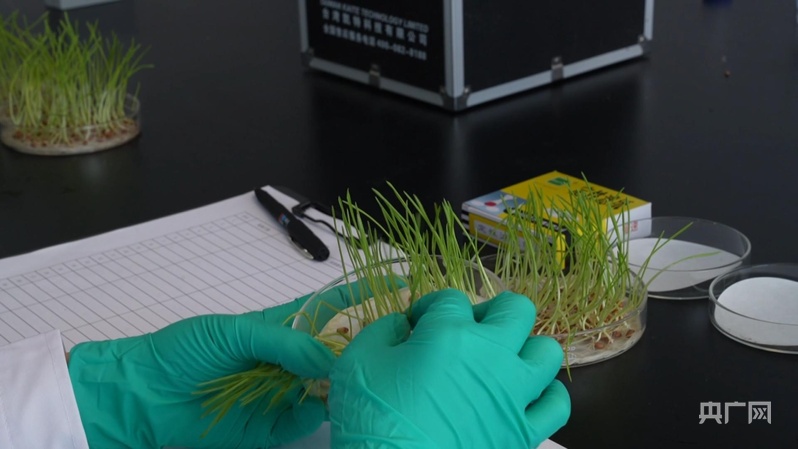 
上海第十人民医院黄牛代挂号电话票贩子号贩子网上预约挂号,住院检查加快,高质量发展看中国｜春耕备耕正当时 北疆大地奏响农忙序曲