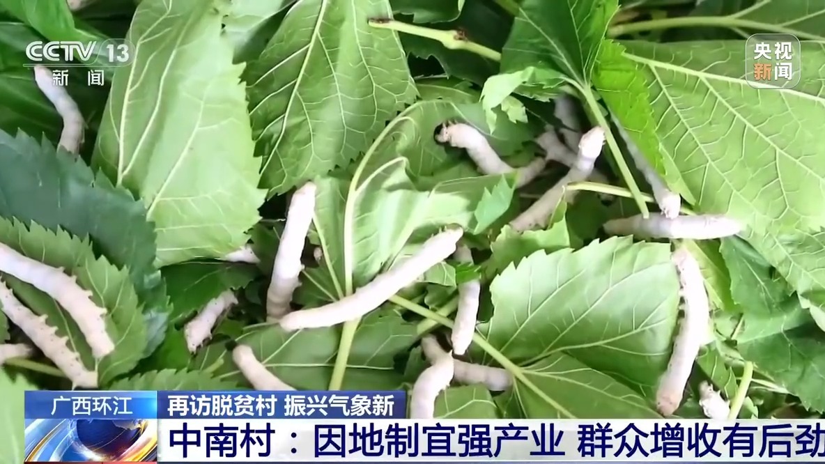 
空军特色医学中心黄牛代挂号电话票贩子号贩子网上预约挂号,住院检查加快,再访脱贫村 振兴气象新丨中南村：因地制宜强产业 群众增收有后劲
