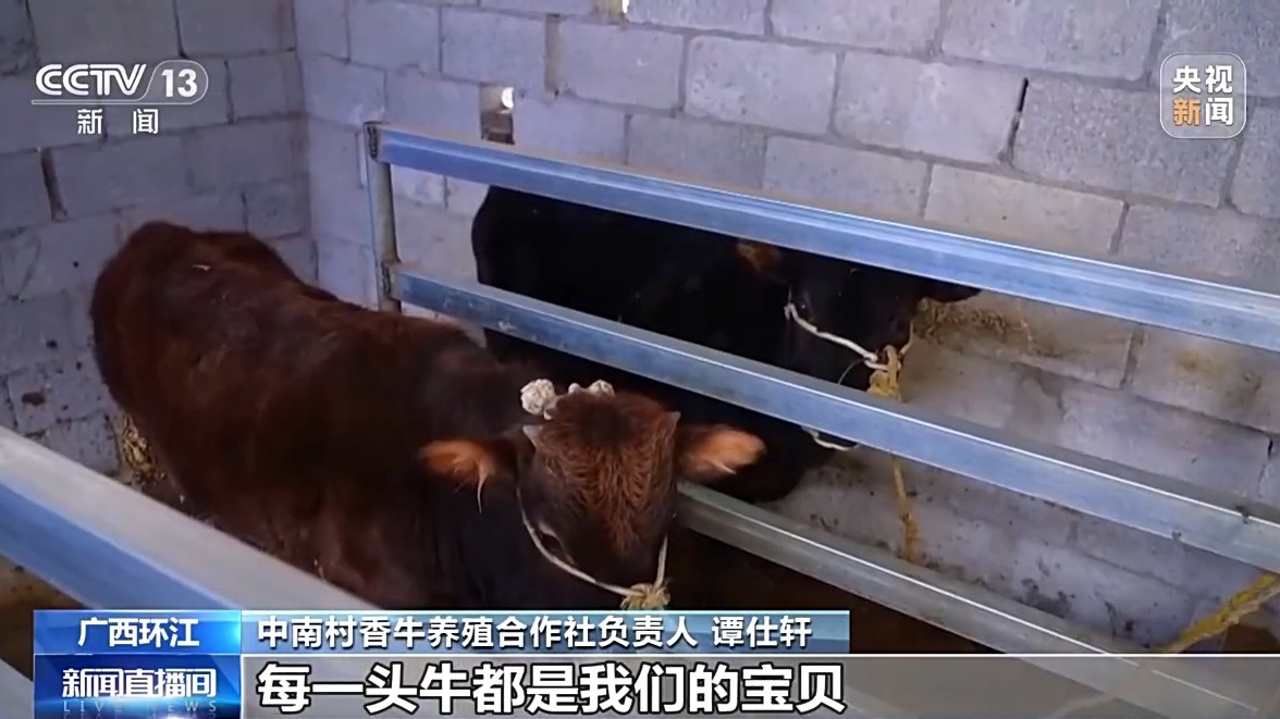 
空军特色医学中心黄牛代挂号电话票贩子号贩子网上预约挂号,住院检查加快,再访脱贫村 振兴气象新丨中南村：因地制宜强产业 群众增收有后劲