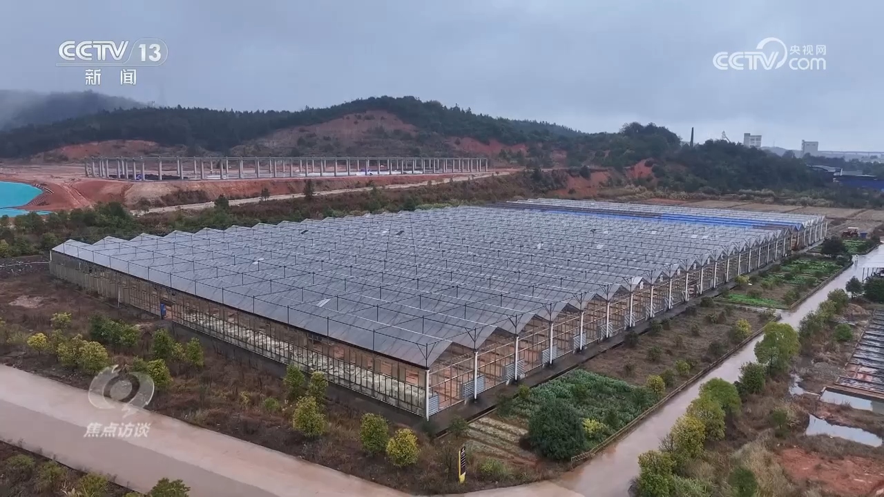 
天津各大医院黄牛代挂号电话票贩子号贩子网上预约挂号,住院检查加快,焦点访谈｜扎实推进乡村全面振兴 中央一号文件这样“划重点”