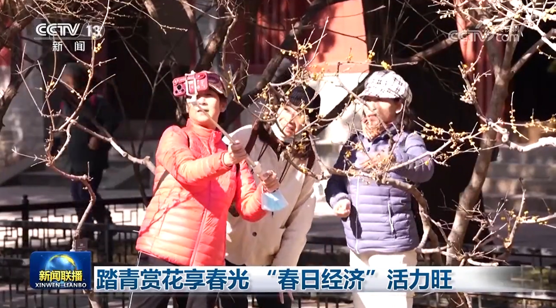 
北京大学肿瘤医院黄牛代挂号电话票贩子号贩子网上预约挂号,住院检查加快,踏青赏花享春光 “春日经济”活力旺