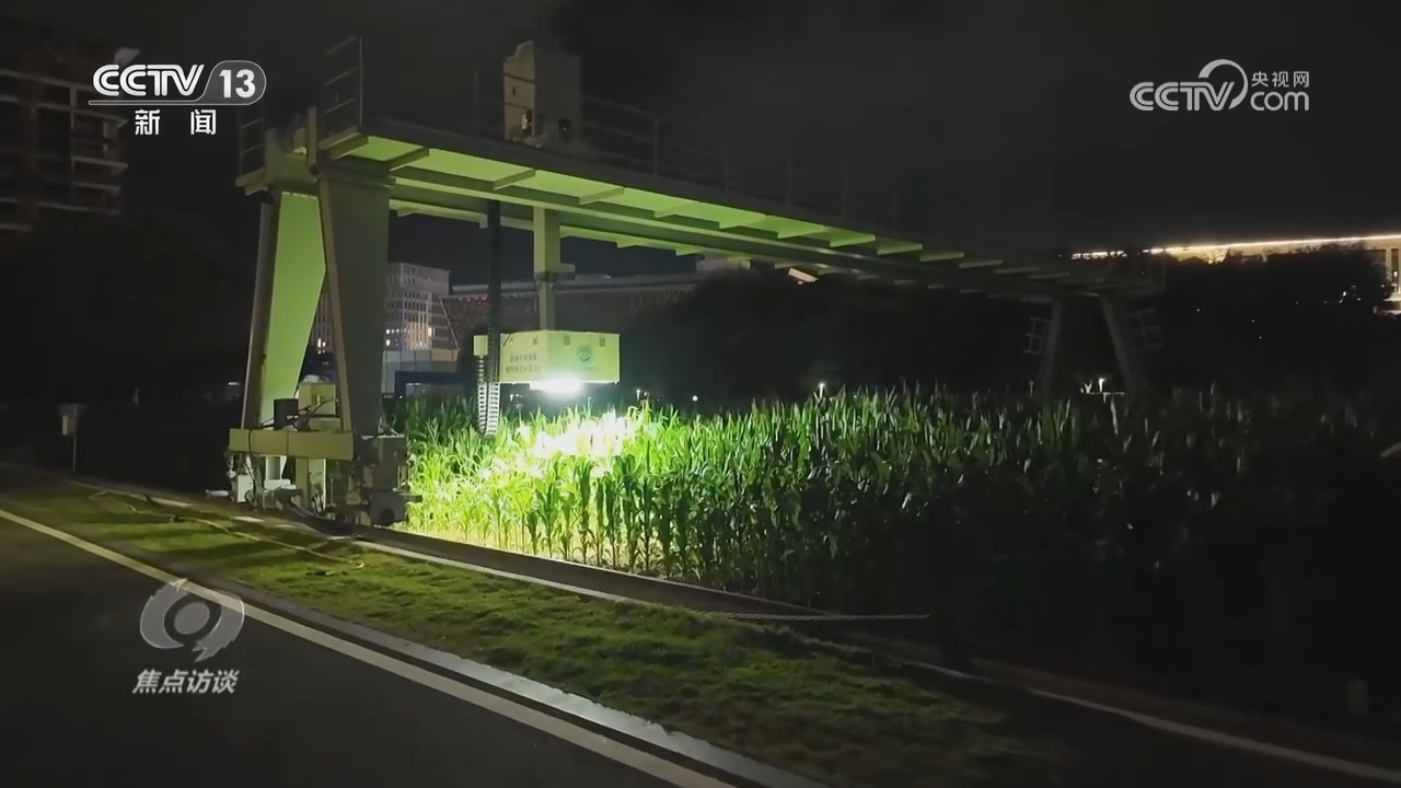 
天津各大医院黄牛代挂号电话票贩子号贩子网上预约挂号,住院检查加快,焦点访谈｜扎实推进乡村全面振兴 中央一号文件这样“划重点”