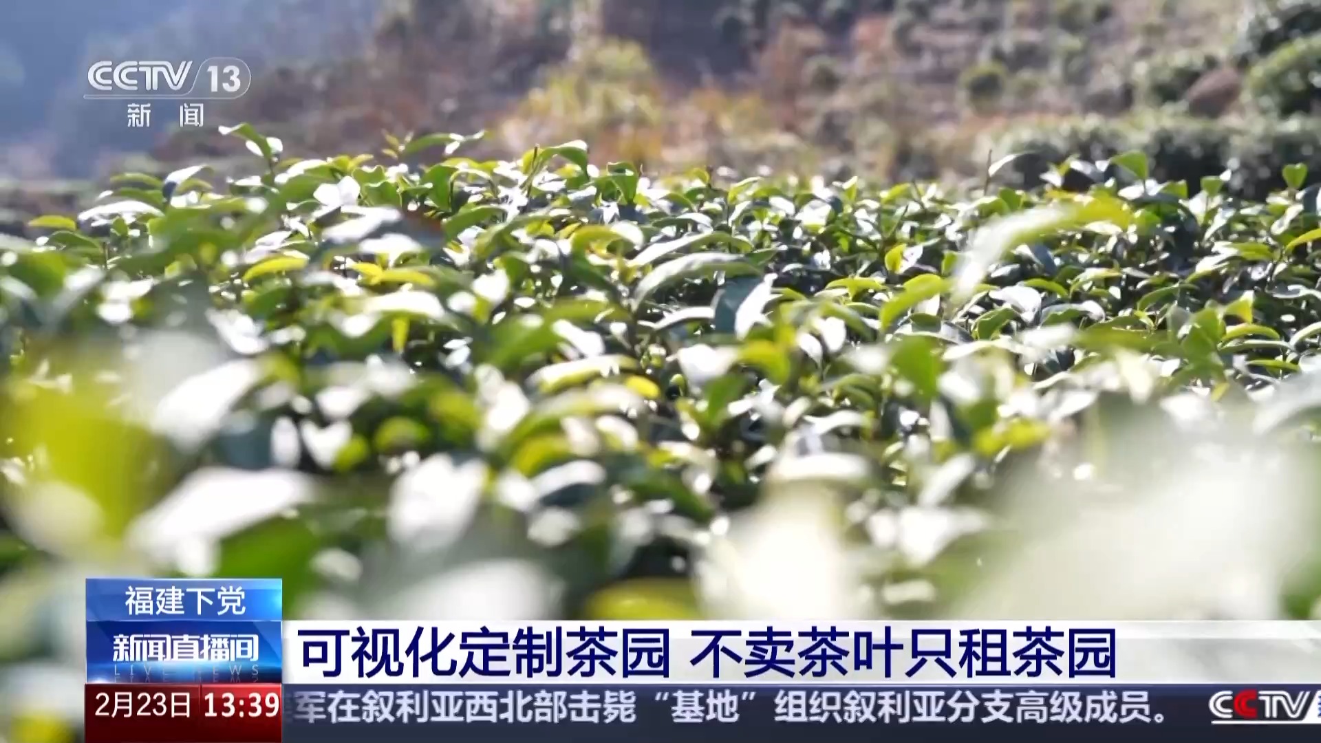 
天津各大医院黄牛代挂号电话票贩子号贩子网上预约挂号,住院检查加快,再访脱贫村 振兴气象新丨充电狗和茶馆也能联动 打卡乡里的“零碳新基建”