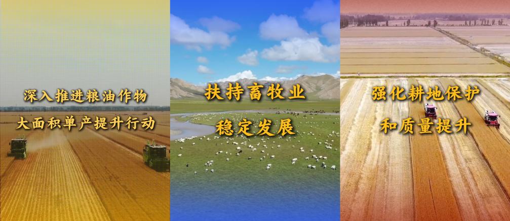 
首都医科大学附属阜外医院黄牛代挂号电话票贩子号贩子网上预约挂号,住院检查加快,竖屏微视频｜关于重要农产品供给保障，中央一号文件这样要求