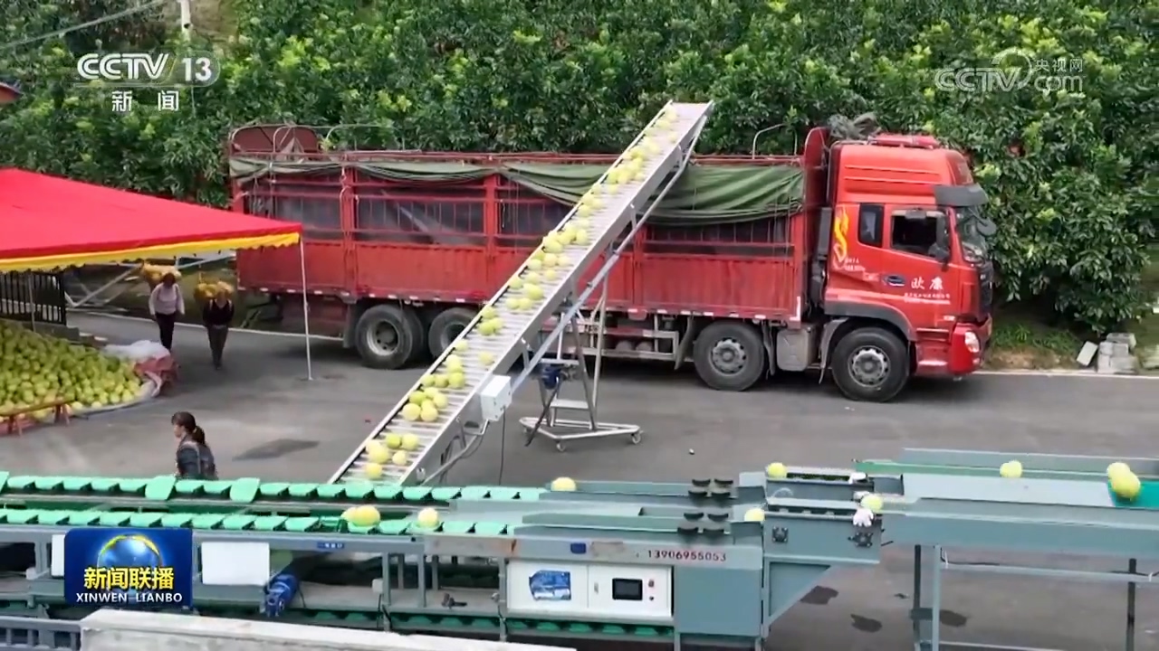 
广东省中医院黄牛代挂号电话票贩子号贩子网上预约挂号,住院检查加快,【再访脱贫村 振兴气象新】强化人才支撑 助力乡村全面振兴