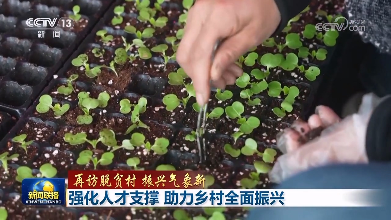 
广东省中医院黄牛代挂号电话票贩子号贩子网上预约挂号,住院检查加快,【再访脱贫村 振兴气象新】强化人才支撑 助力乡村全面振兴